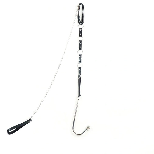 Anal Hooks Anal with Hook 5853 and Leash EverydayUse Collar Kinky 1015